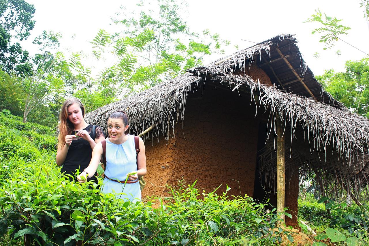 Bedda Eco Cottages Deniyaya Exterior photo